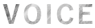 VOICE